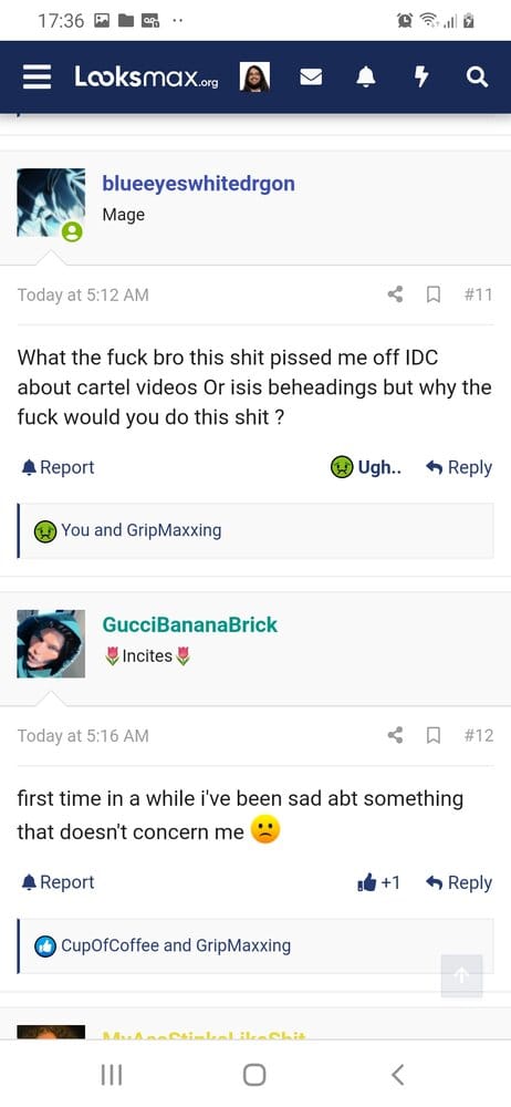 Screenshot 20210513 173608 Chrome