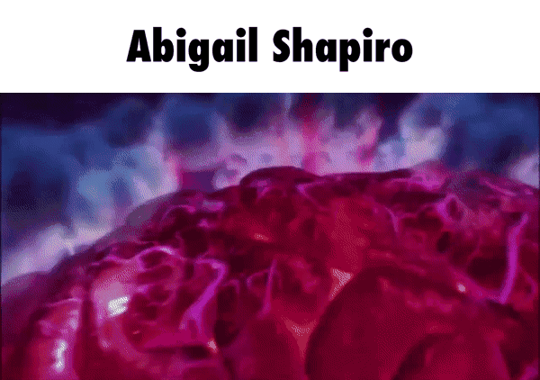 Shapiro 2