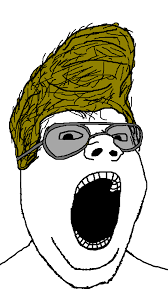 blonde soyboy | Soy Boy Face / Soyjak | Know Your Meme