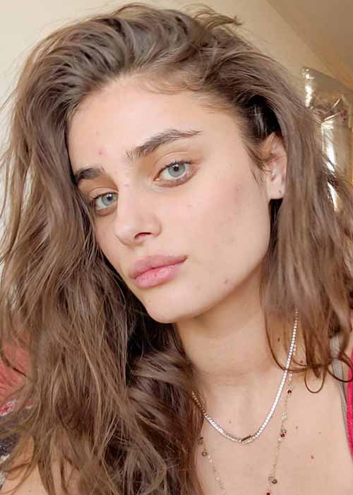 Taylor hill acne products p
