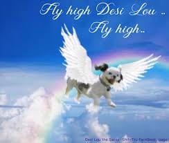 3FC3D8CD DB86 444C 91FC D1DD17BD489E