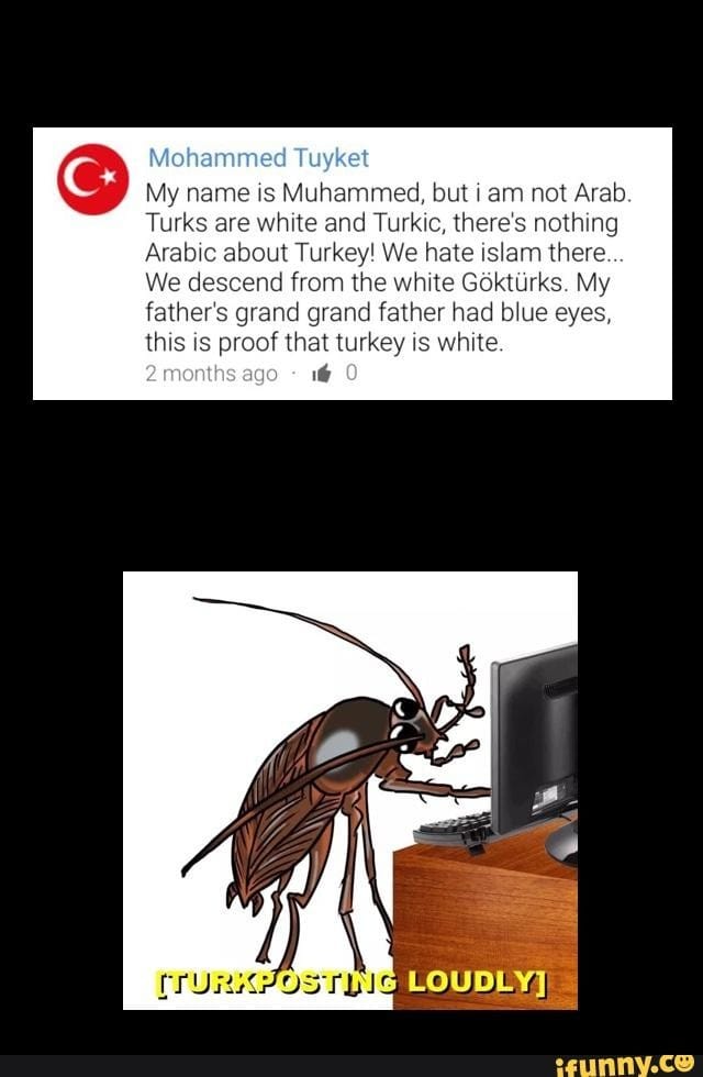 52573183 D697 44F4 9E24 3284DB3480CF