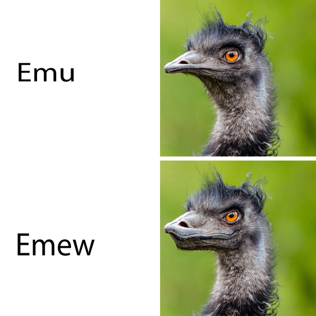 1621368202268