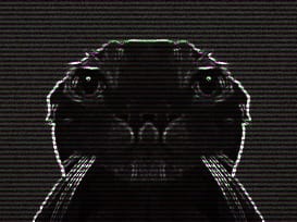 Cursedd6