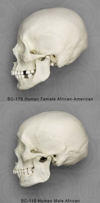 DB14A0D1 9752 4669 85BA EE2C4E372EB3