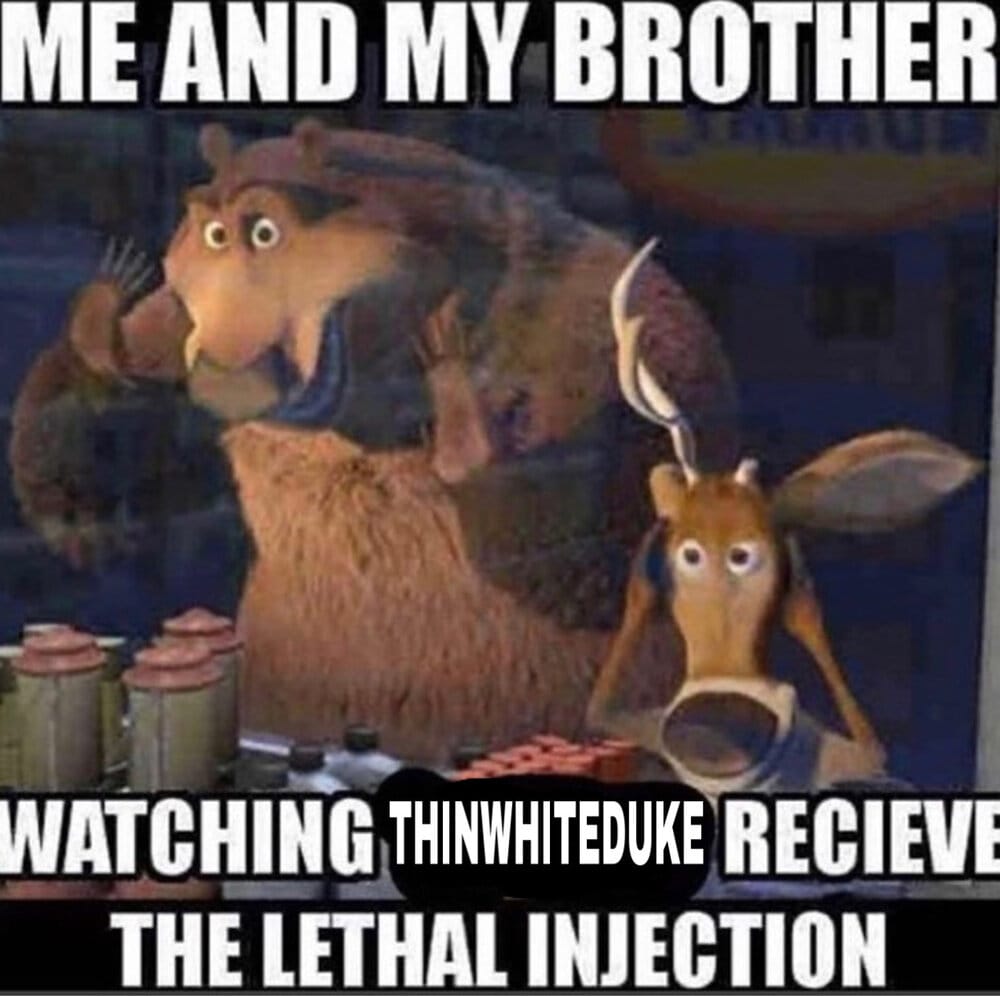 59281285 52B3 4E0C 8857 9A003E377385