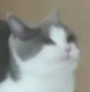 1605926289929