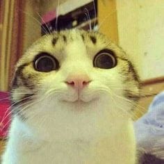 13324