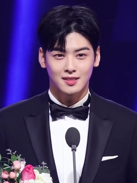 Cha Eun woo in 2018 Korea Drama Awards