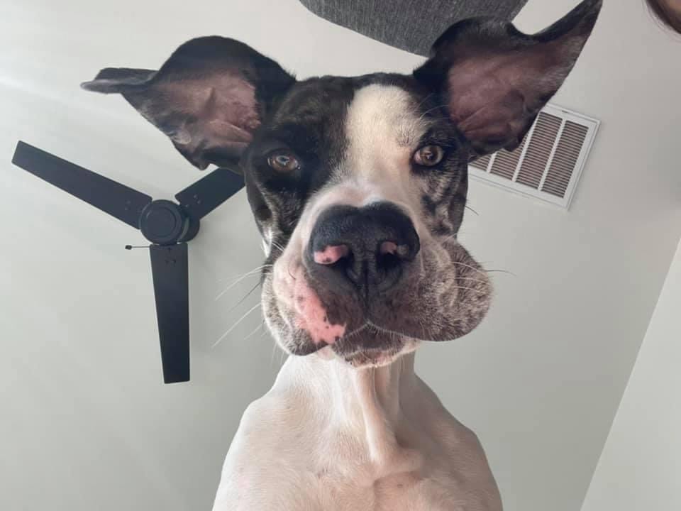 9E606F9B 407D 43C5 B3FE F0CB37B98E5F