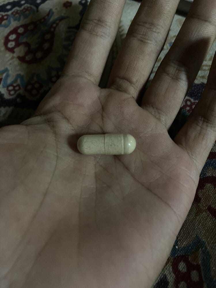 0CF8C803 62E8 4A03 A588 08D8886B961C