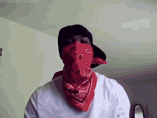 Giphy 2