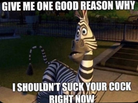 FC575158 A05C 45C9 B04F 9E03CA4BAD1E