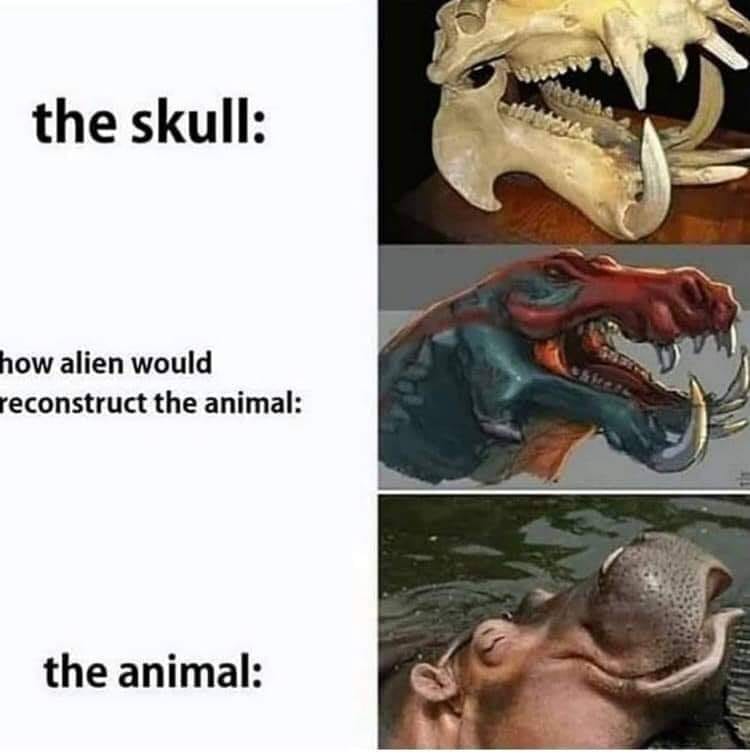 1619616931329