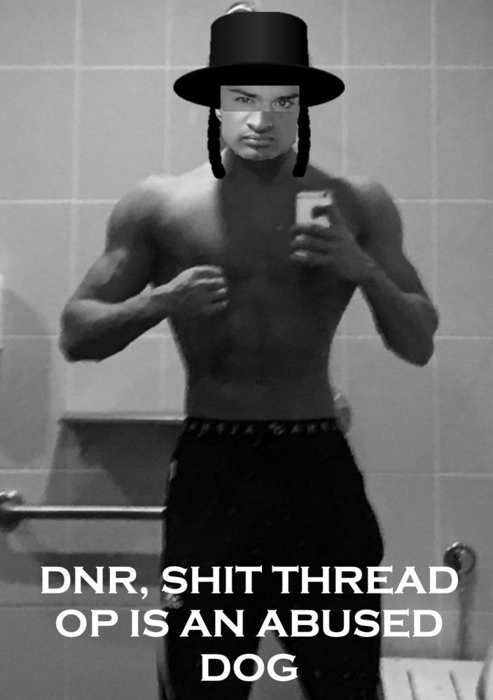 Terra dnr