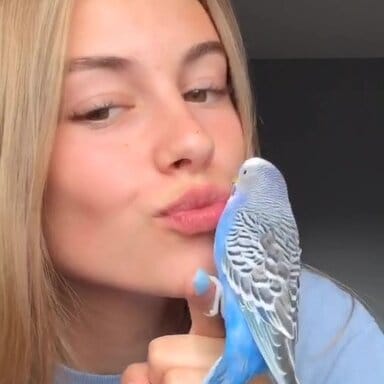 Eva