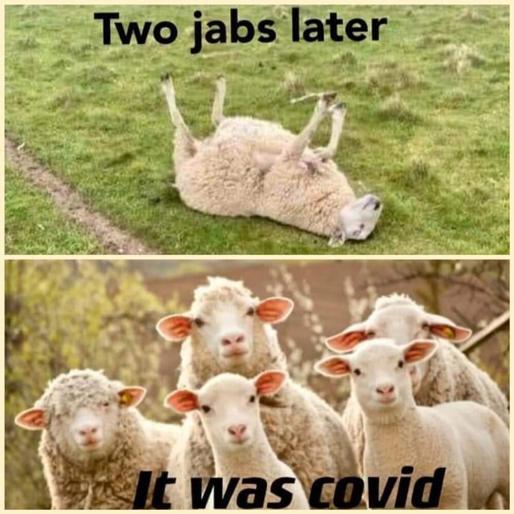 20210528 193030