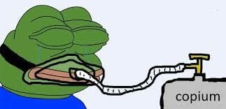 D1FCD2B2 8C34 408E 89BF 3650D4337C99