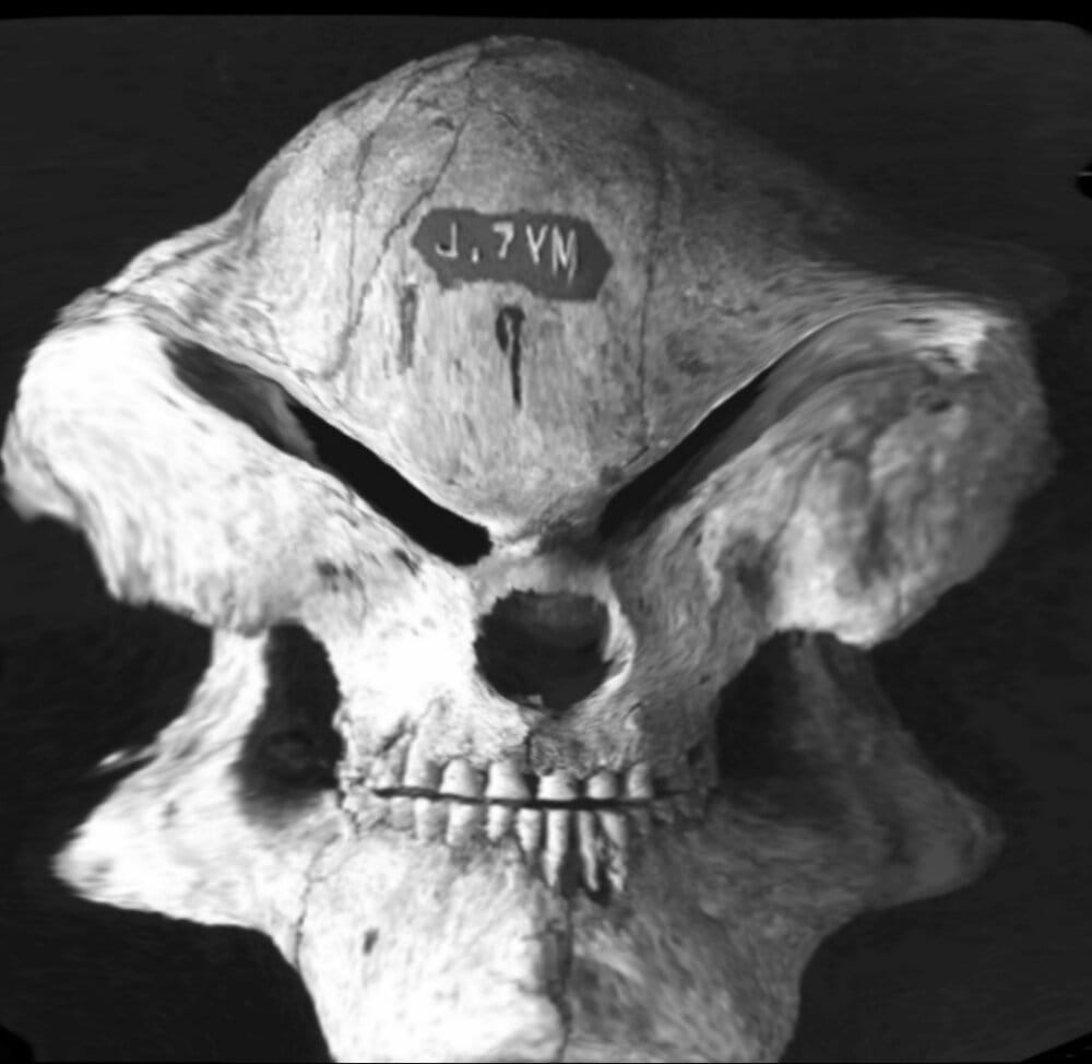 PicsArt 05 30 071031