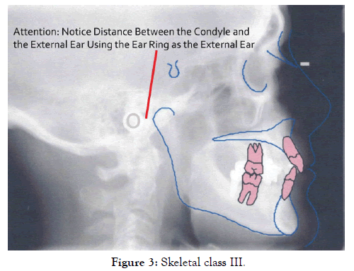 Clinical experimental dermatology research skeletal 10 505 g003