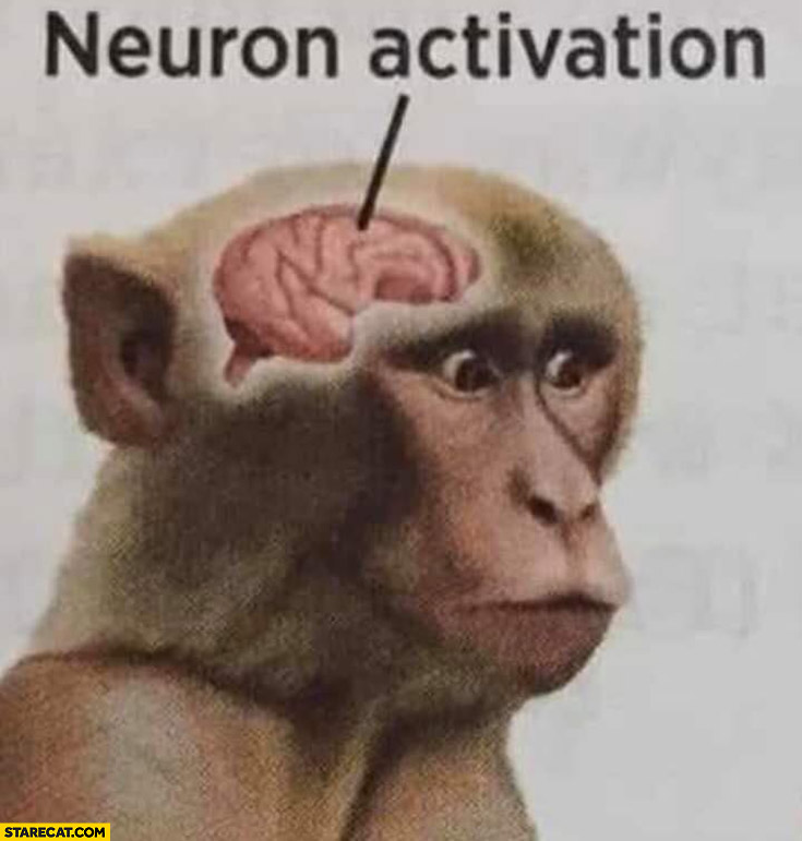 Neuron