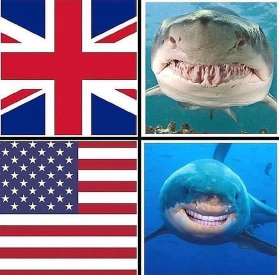 Images 4
