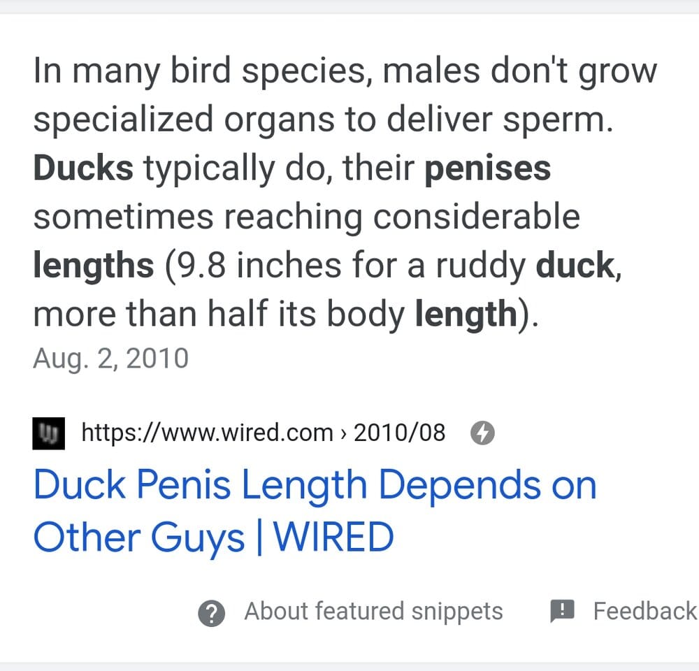 Screenshot 20210601 203644