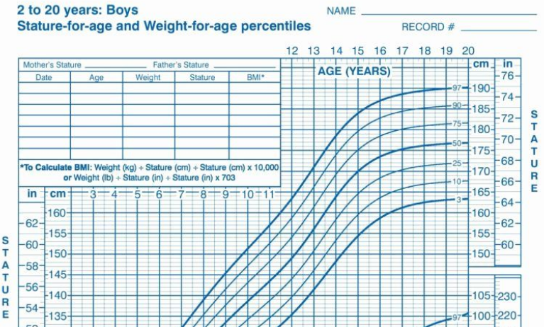 Height 829