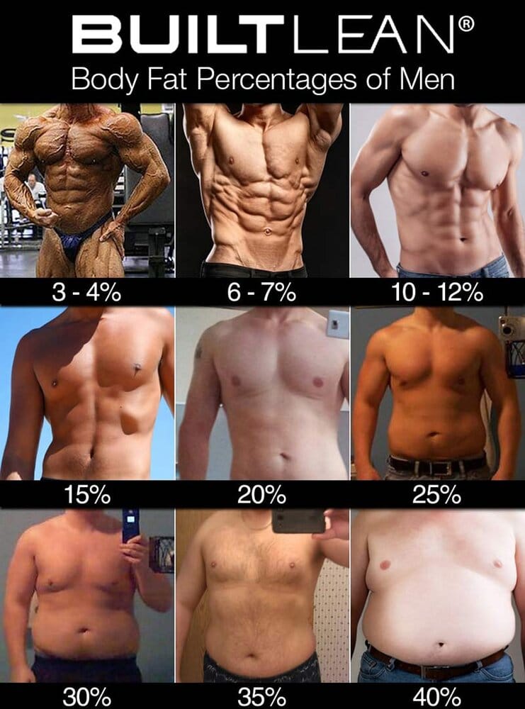 Body fat percentage men