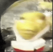 Qwdqwdqwd