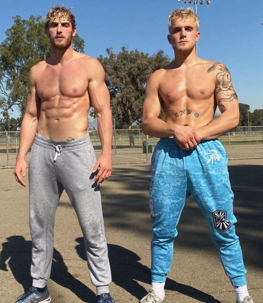 Jake and Logan Paul Instagram photo 887x1024