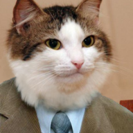 Image 2021 06 08 051224