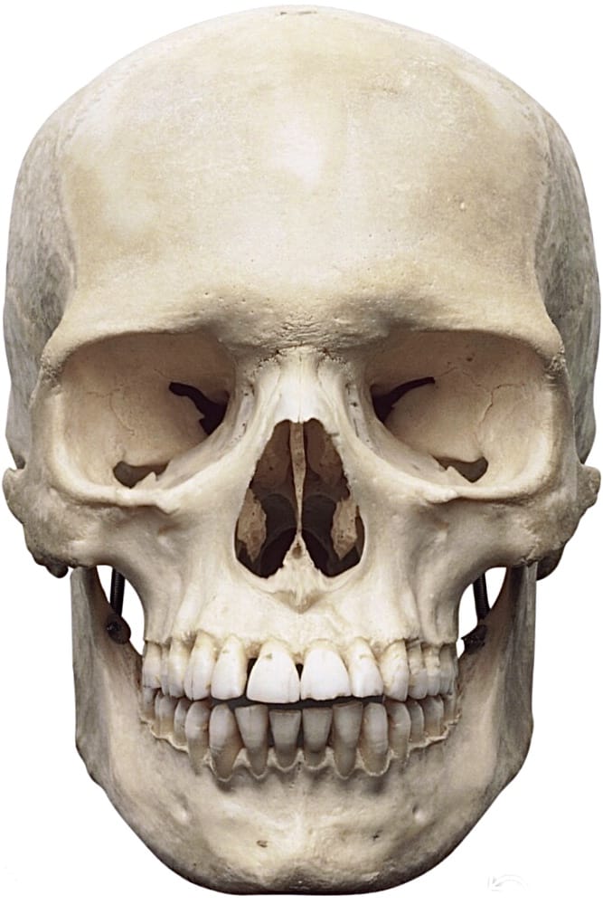 BAD11E88 D231 4A8C BB80 1D4619702D51