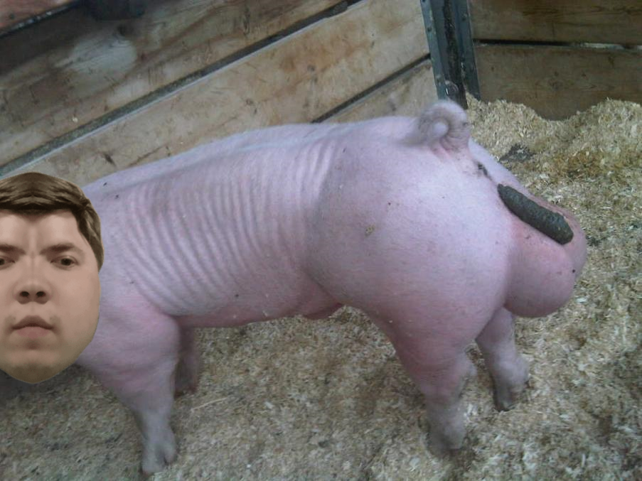 Pigshitlossus