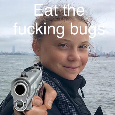 1623310137479