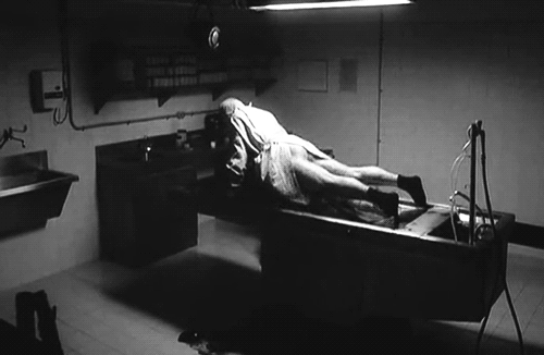 Tumblr ml5rbg9Z7E1s413u2o1 500