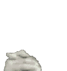 1623569832002