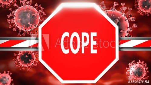 500 F 332319154 ZmSRKK2sJA8KipSe1mdE392Ef8oGUrat