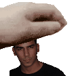 Petpet the newone