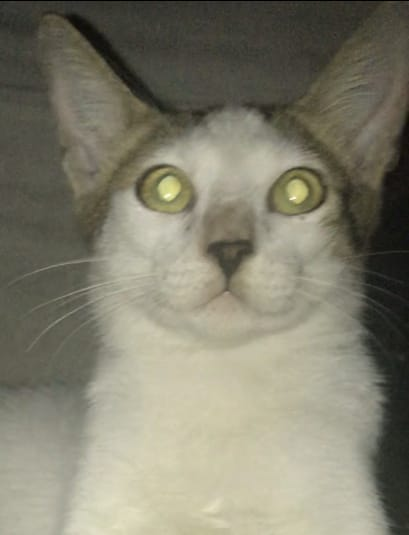 1623789459320
