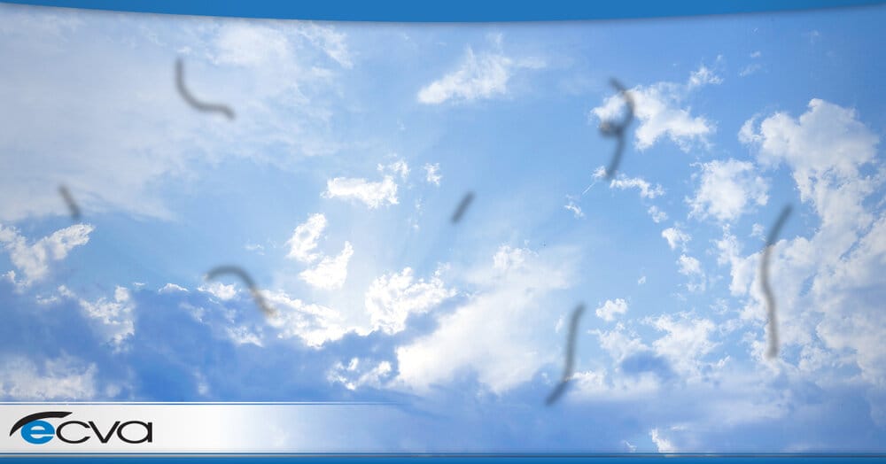 745121 ECVAFbJuly EDIT eyefloaters 061520