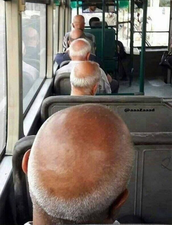 16238300741462