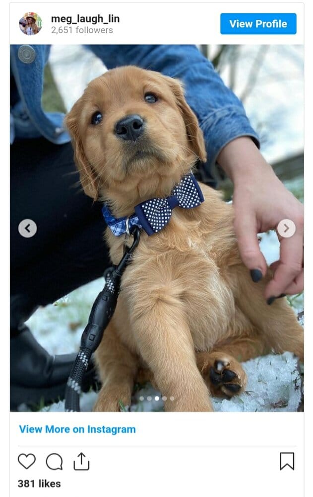 Screenshot 20210617 205949 Chrome