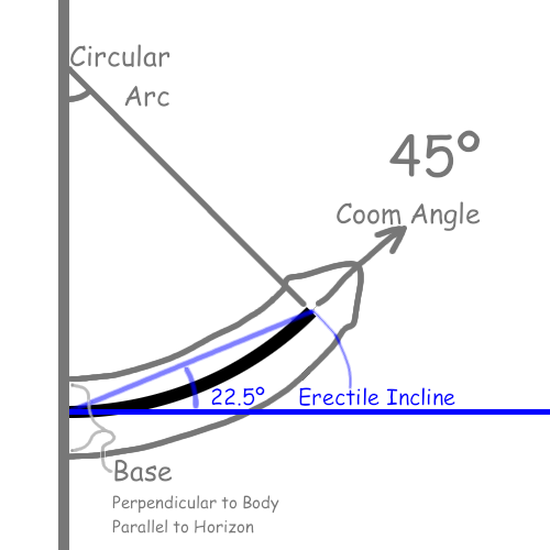 Curvature