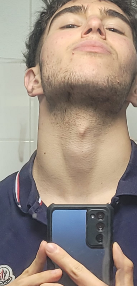1624463194478