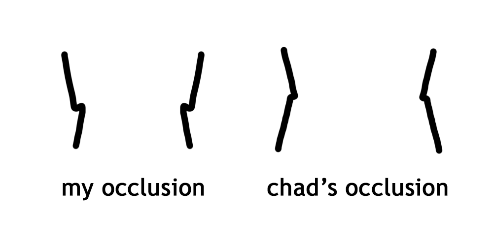 Occlusion