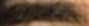 1624703456881