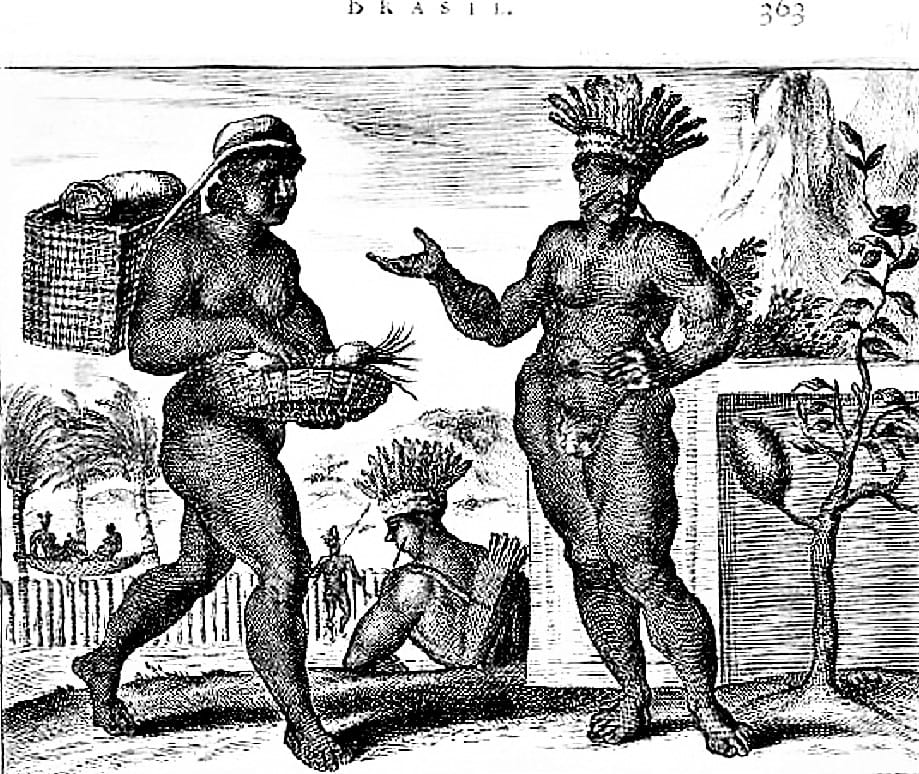 1671 John Ogilbys America the image is based on the work of Arnoldus Montanus  Brazil