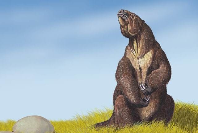 Giant ground sloth e1600897625467