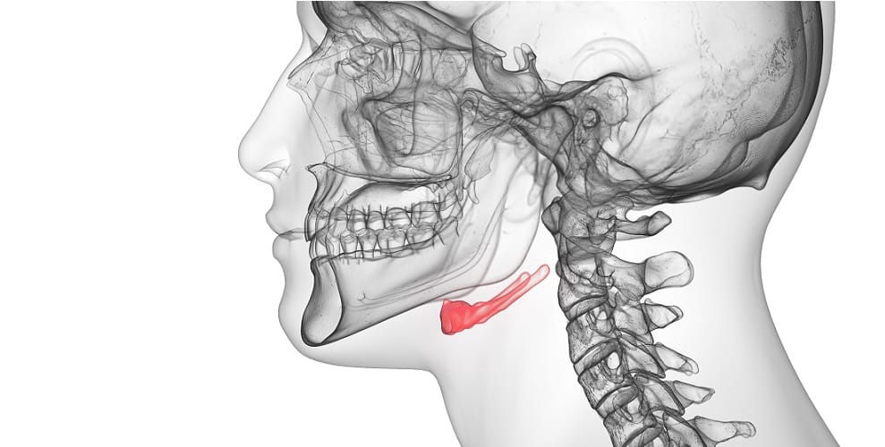 Hyoidbone